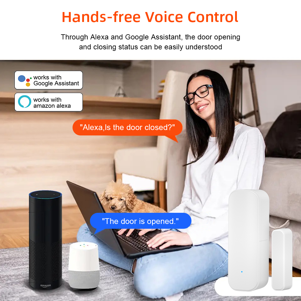 Tuya WiFi Zigbee Window Door S - đánh giá và giá Home Security Services