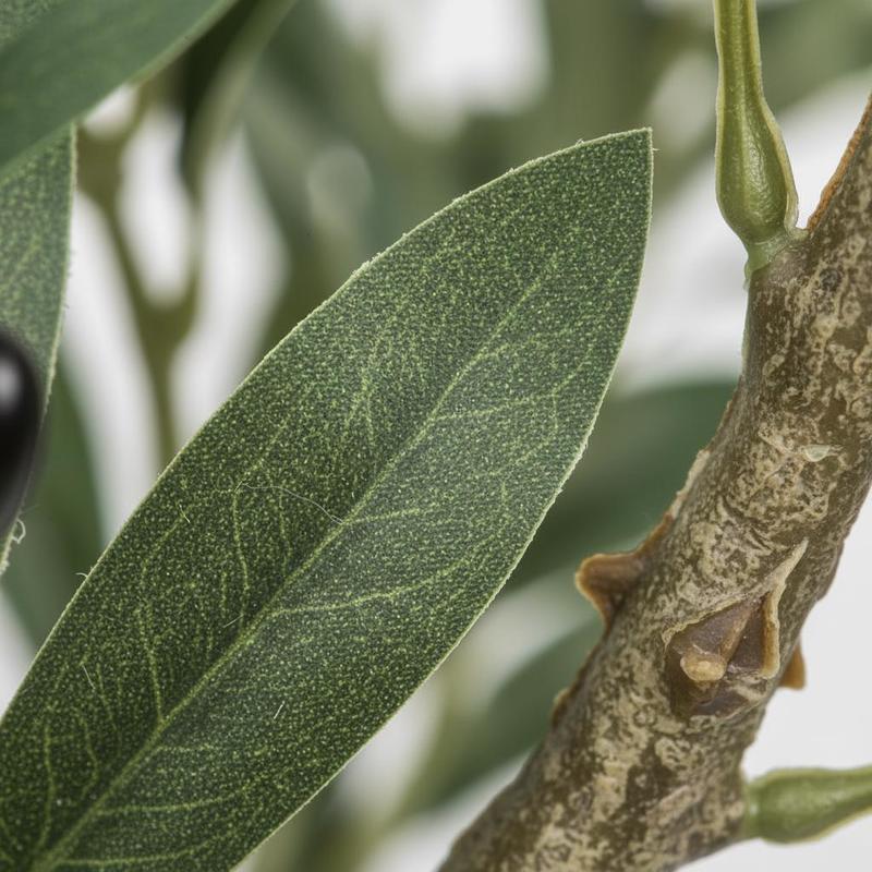 Synthetic Olive Shrub 72 Inch  - đánh giá và giá Home Security Tips