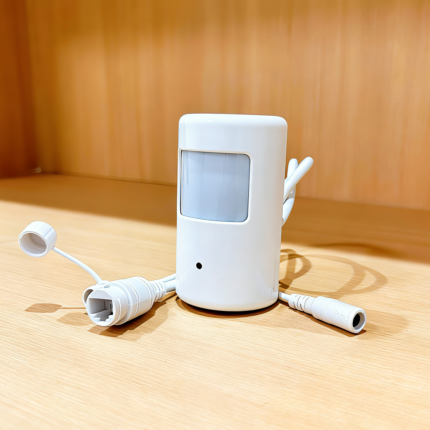 Tuya Smart Mini PIR Style WiFi - đánh giá và giá Home Security Hidden Cameras